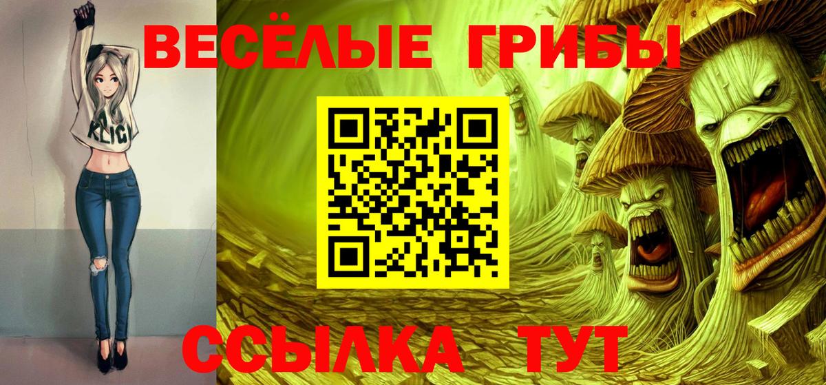 Кудрово  Галлюциногенные грибы Psilocybine cubensis  Галлюциногенные грибы ЛСД  Вход с VPN 