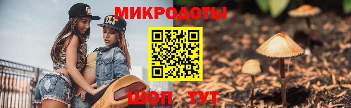Псилоцибиновые грибы MAGIC MUSHROOMS Кудрово